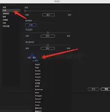 Adobe软件如何设置中文界面？轻松切换语言指南