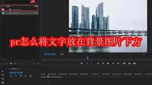 Pr如何设置彩虹色标签-设置Pr彩虹色标签的方法