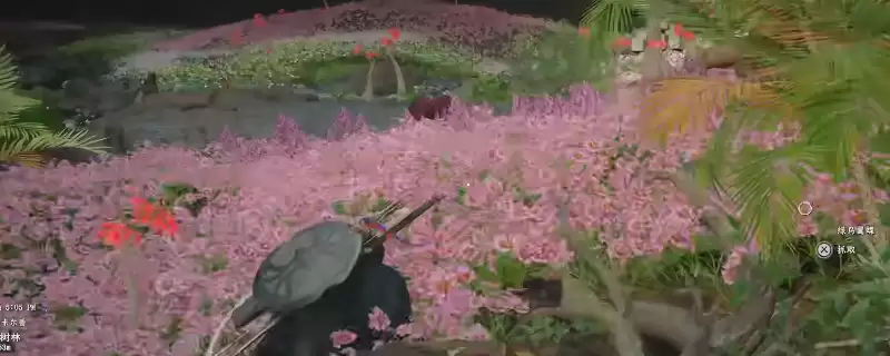 《红色沙漠》传奇马卡莫拉和劲绿草获得方法介绍