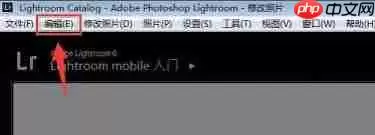 Lightroom如何设置自动放弃1:1预览