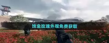 三角洲蚀金玫瑰如何获取-三角洲蚀金玫瑰怎样得到