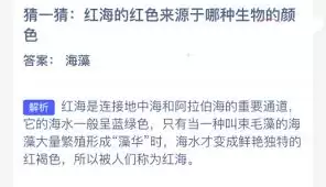 红海的红色是哪种生物的颜色所致-哪种生物的颜色造成了红海的红色