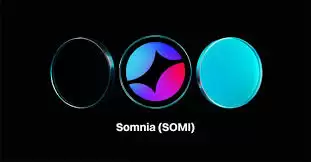 somi币的中文名是什么