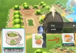 蓝色星原旅谣种菜玩法是什么