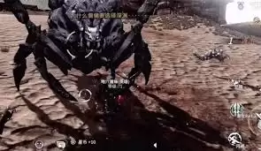 时间秩序地穴魔蛛怎么打