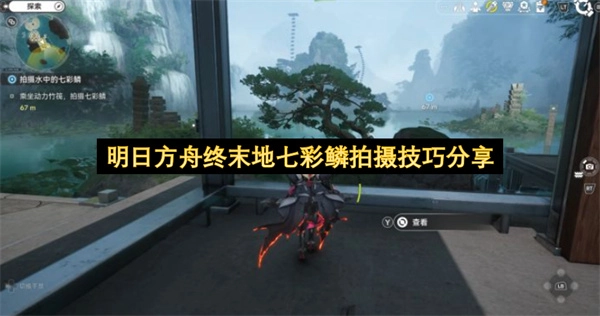 明日方舟终末地：七彩鳞拍摄技巧全解析