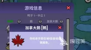 新手必看！鹅鸭杀三大阵营怎么解析-新手须知！鹅鸭杀三大阵营解析方法