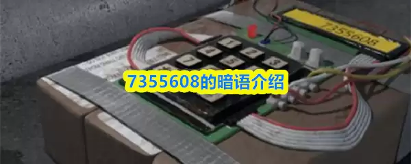 7355608是啥意思