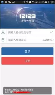 交管12123能否查询强制险