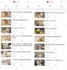 b站怎么投稿赚钱