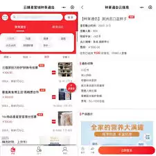 当小红书种草博主怎么样