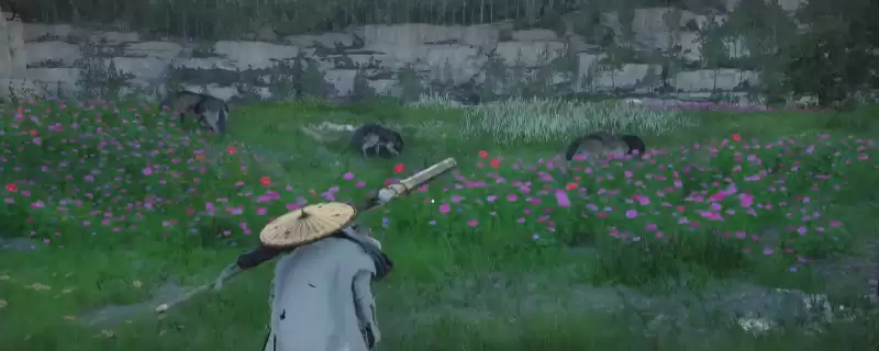 红色沙漠新手村怎么获得利齿-新手村获得利齿方法介绍