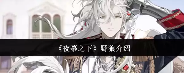 夜幕之下野狼怎么样