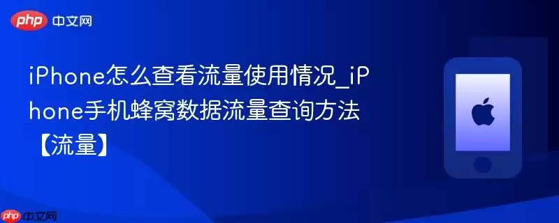 iphone怎么查看流量使用情况_iphone手机蜂窝数据流量查询方法【流量】