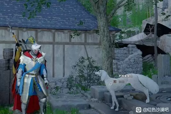 红色沙漠萨路基猎犬在哪