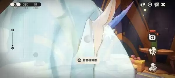 洛克王国世界摄影任务怎么做