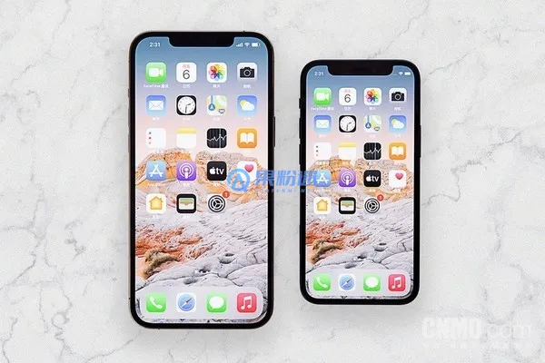 iPhone11屏幕尺寸是多少寸？全面解析与选购指南