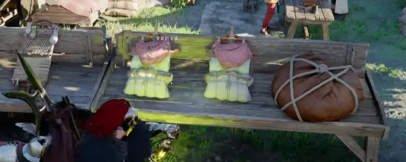 《红色沙漠》货商背囊获得方法详解-任务道具获取指南