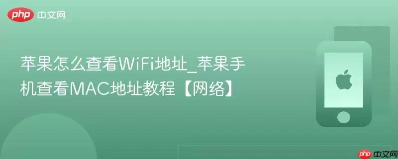 苹果怎么查看WiFi地址_苹果手机查看MAC地址教程【网络】