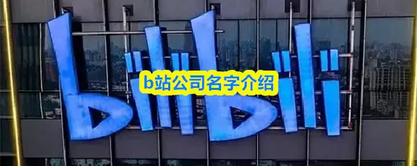 b站公司叫什么
