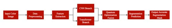 微算法科技（MLGO）量子启发式算法与 CNN、Transformer 结合，实现端到端彩色图像分割