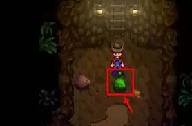 星露谷物语如何获取食用油-星露谷物语食用油获取方法