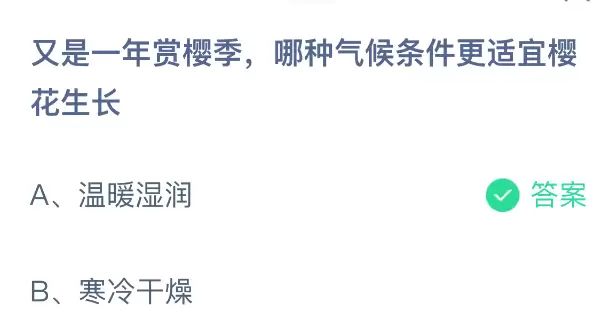又是一年赏樱季，哪种气候条件更适宜樱花生长