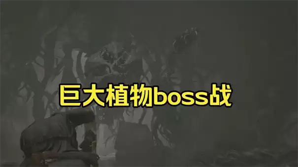 生化危机9安魂曲43号植物怎么打