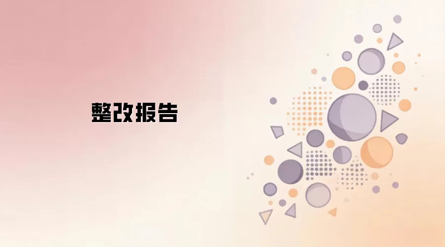 整改报告