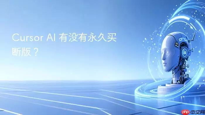 Cursor AI 有没有永久买断版？