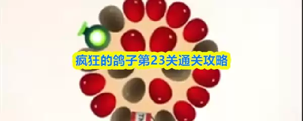 疯狂的鸽子第23关通关攻略