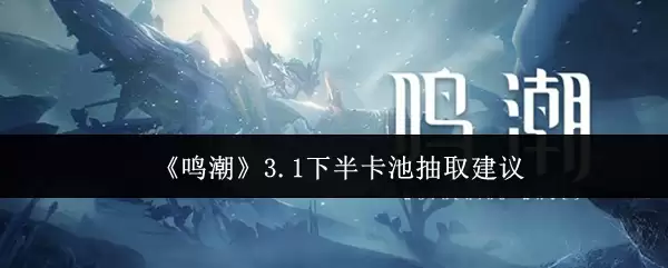 《鸣潮》3.1下半卡池抽取建议