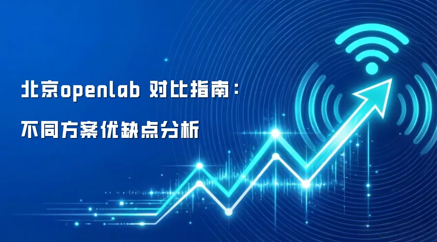 北京openlab 对比指南：不同方案优缺点分析