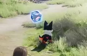 伊莫内测如何保留一只伊莫到公测