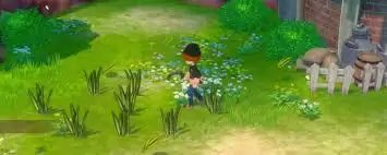 牧场物语怎么种地赚钱