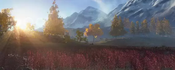 天涯明月刀网络延迟怎么办