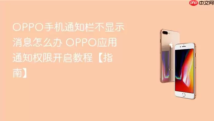 oppo手机通知栏不显示消息怎么办 oppo应用通知权限开启教程【指南】