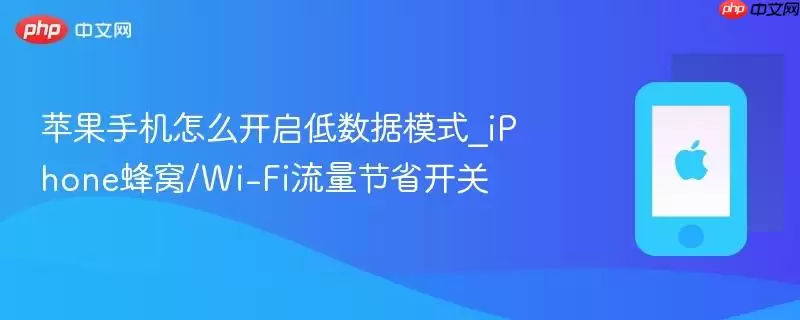 苹果手机怎么开启低数据模式_iphone蜂窝/wi-fi流量节省开关