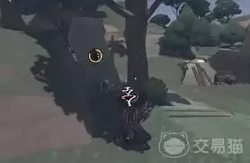 洛克王国世界伞伞菌采集路线是什么