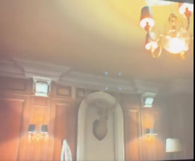 《生化危机9》玩家遇奇葩Bug：安魂一响 电视重启！