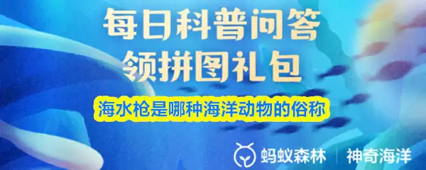 海水枪是哪种海洋动物的俗称