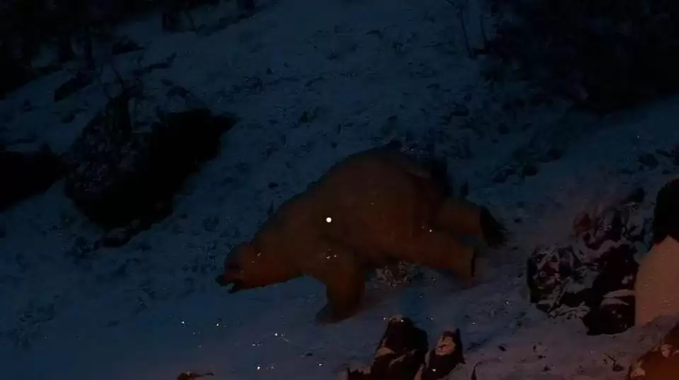 《红色沙漠》终极猎人成就做法分享