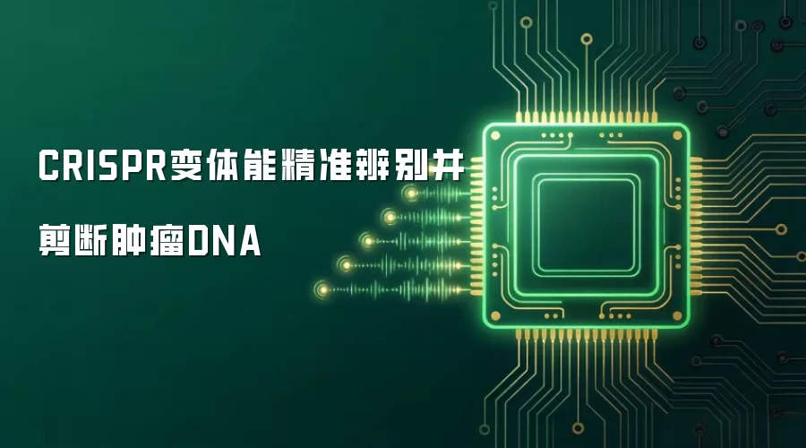 CRISPR变体能精准辨别并剪断肿瘤DNA
