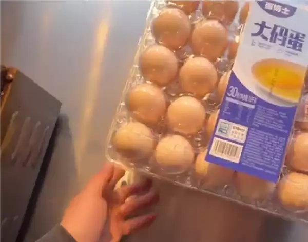 35岁程序员辞职摆摊卖肉蛋堡：月入5万 食材来自胖东来、山姆