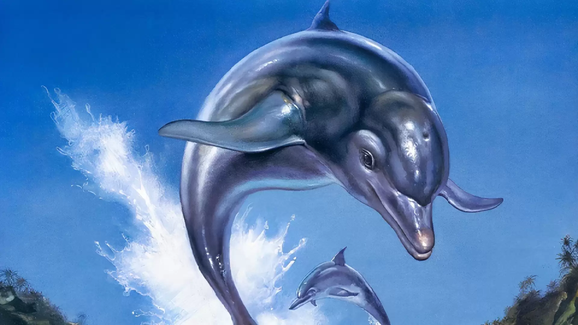 Xbox新任CEO暗示将与Discord达成某种合作