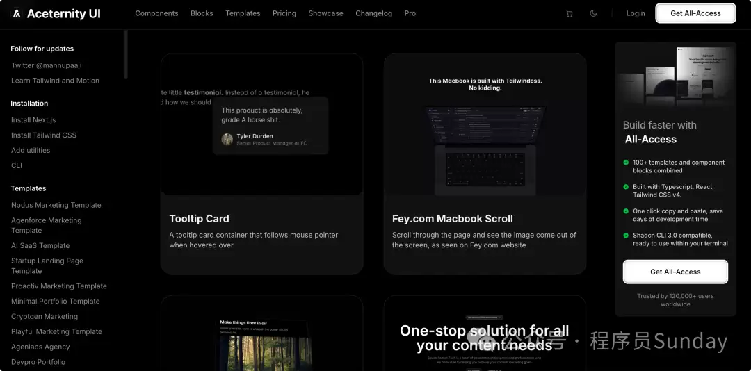 Aceternity UI 动效组件