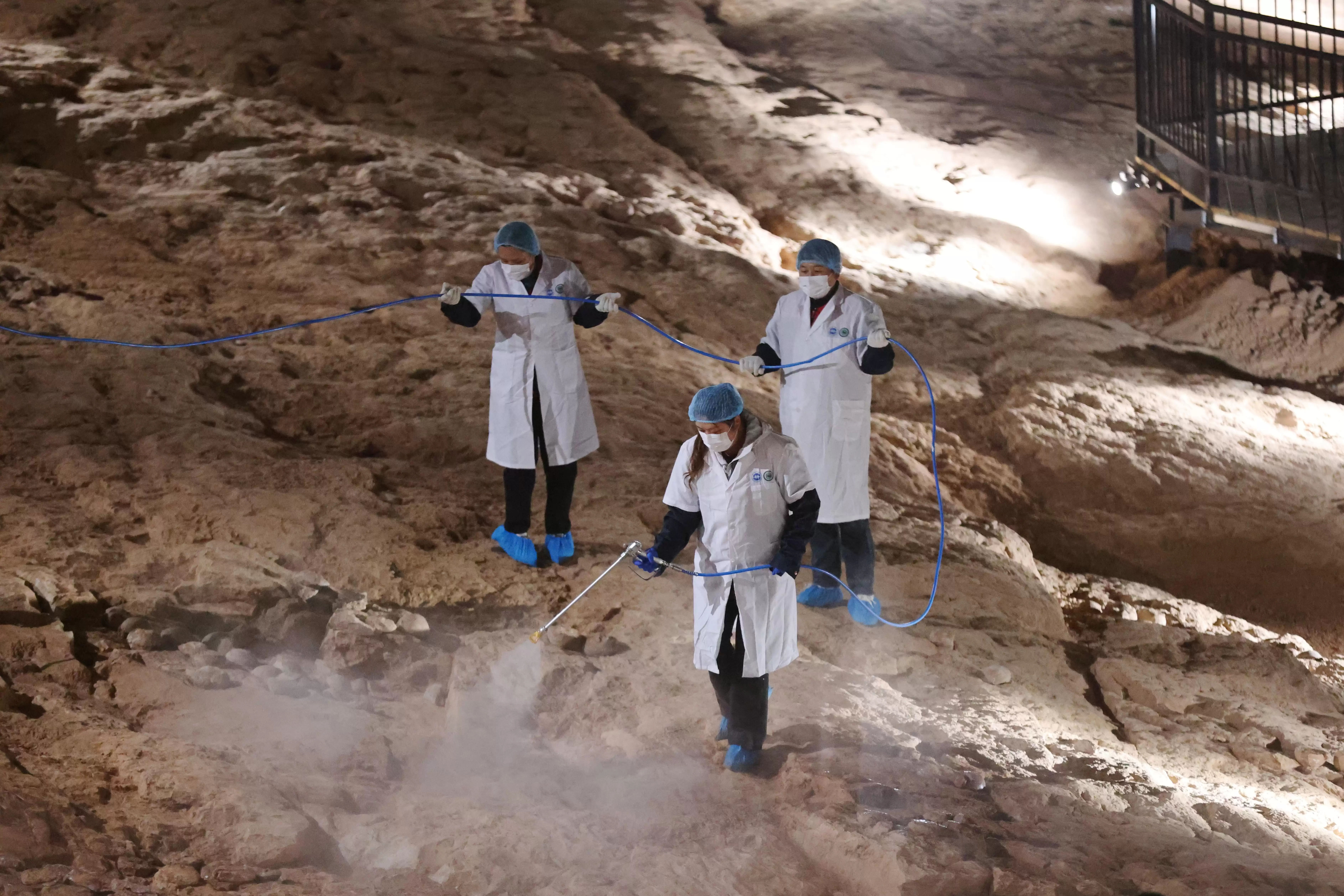 超大规模恐龙蛋化石群穿上“纳米防护服”