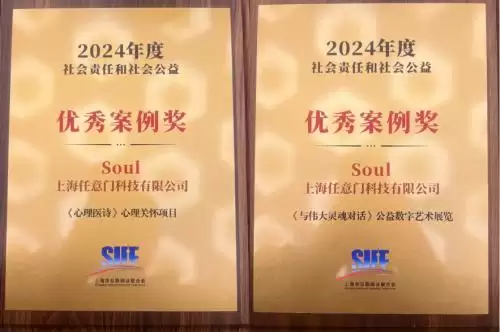 Soul IPO 推进进行时，双公益项目斩获大奖添动能