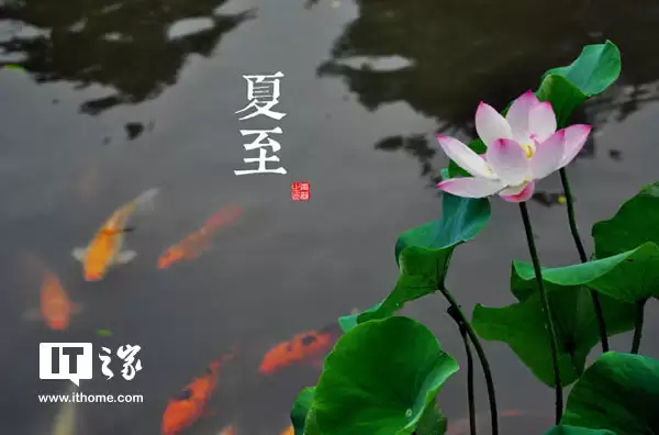 今日夏至：盛夏，如约而至