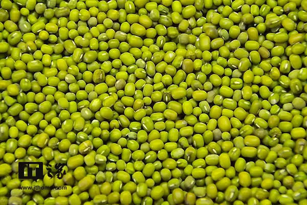 今日夏至：盛夏，如约而至